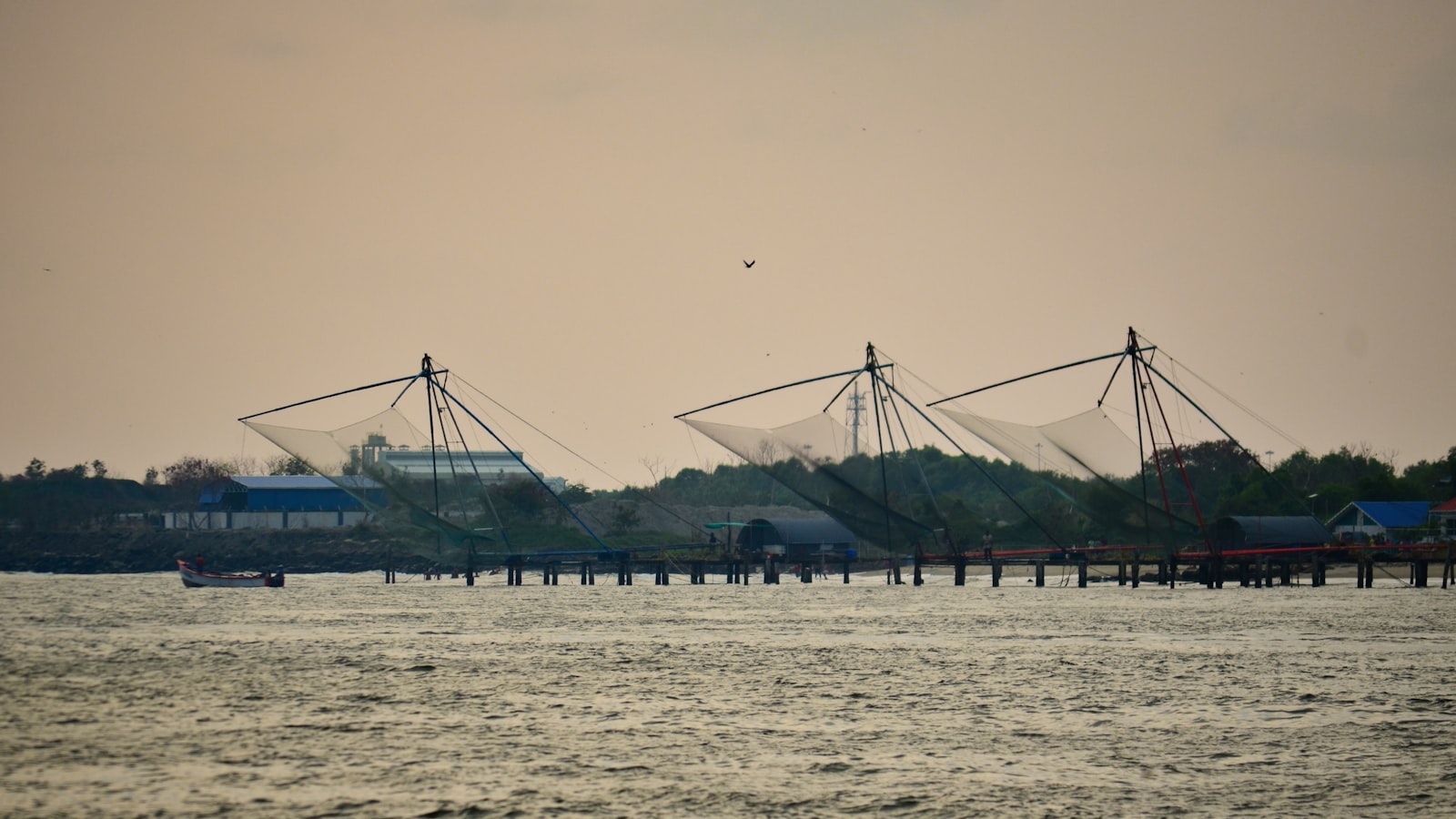 Kerala Backwaters and Hills - photo 3