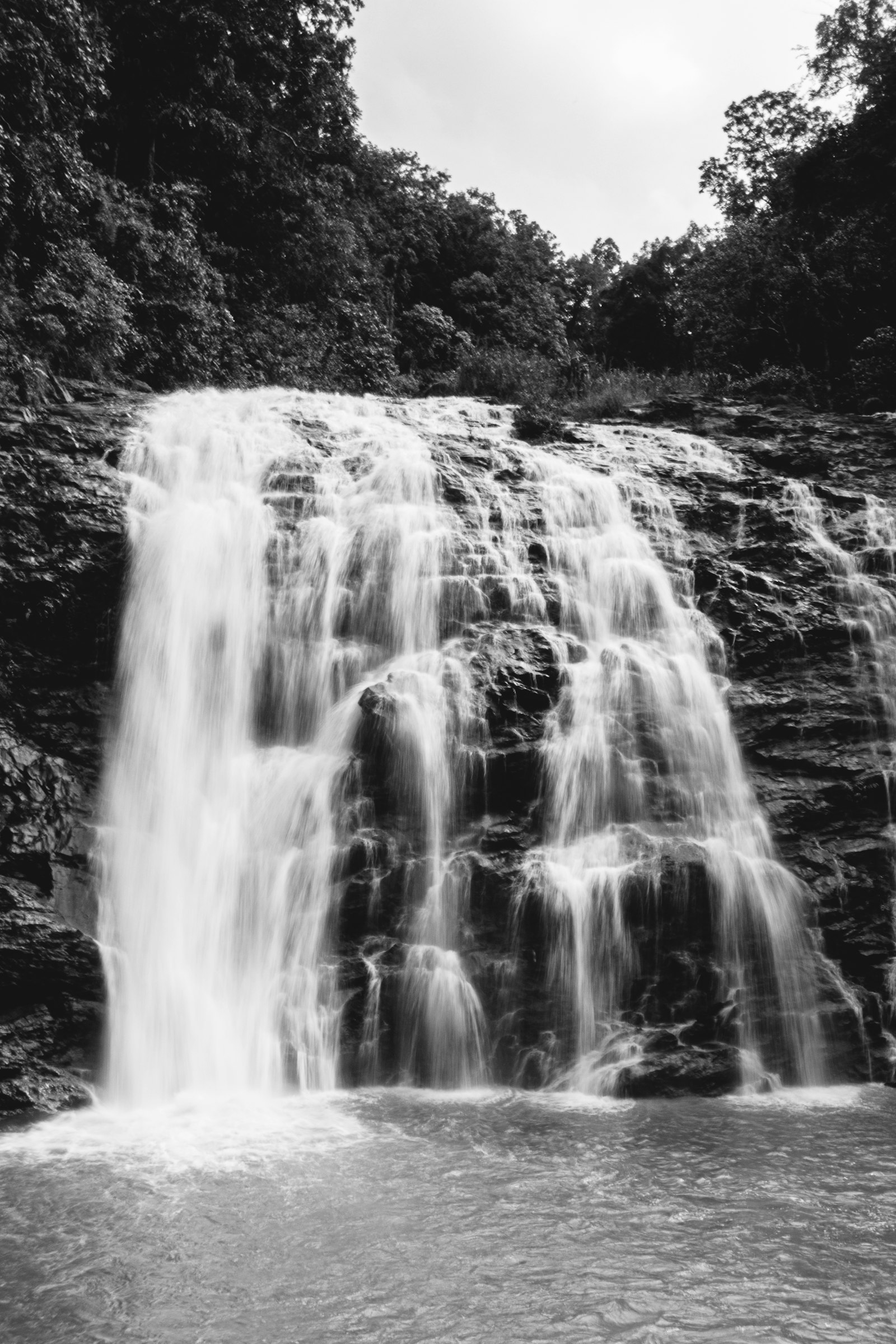 Coorg Coffee Country Getaway - photo 1