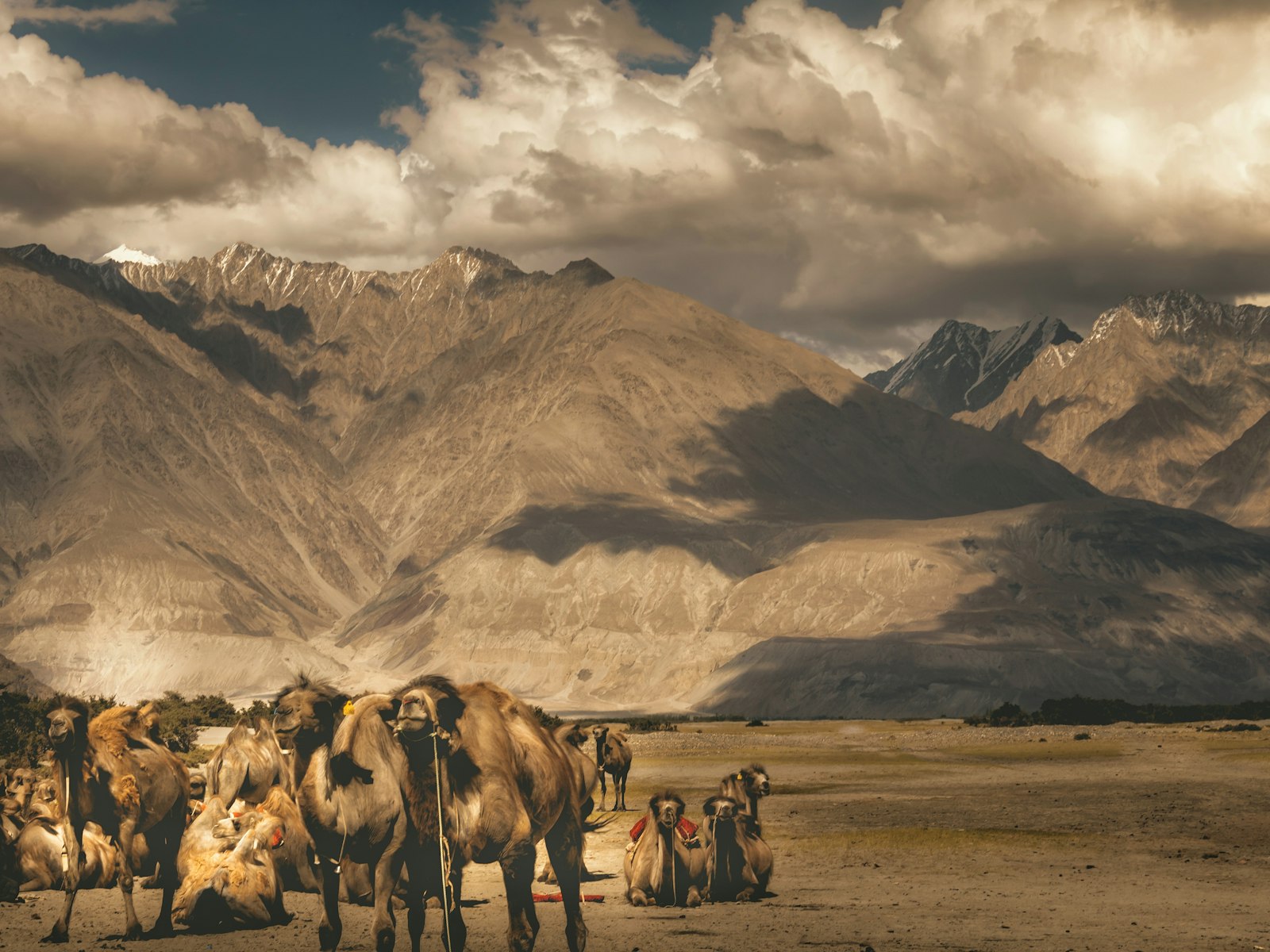 Leh Ladakh High Altitude Adventure - photo 2
