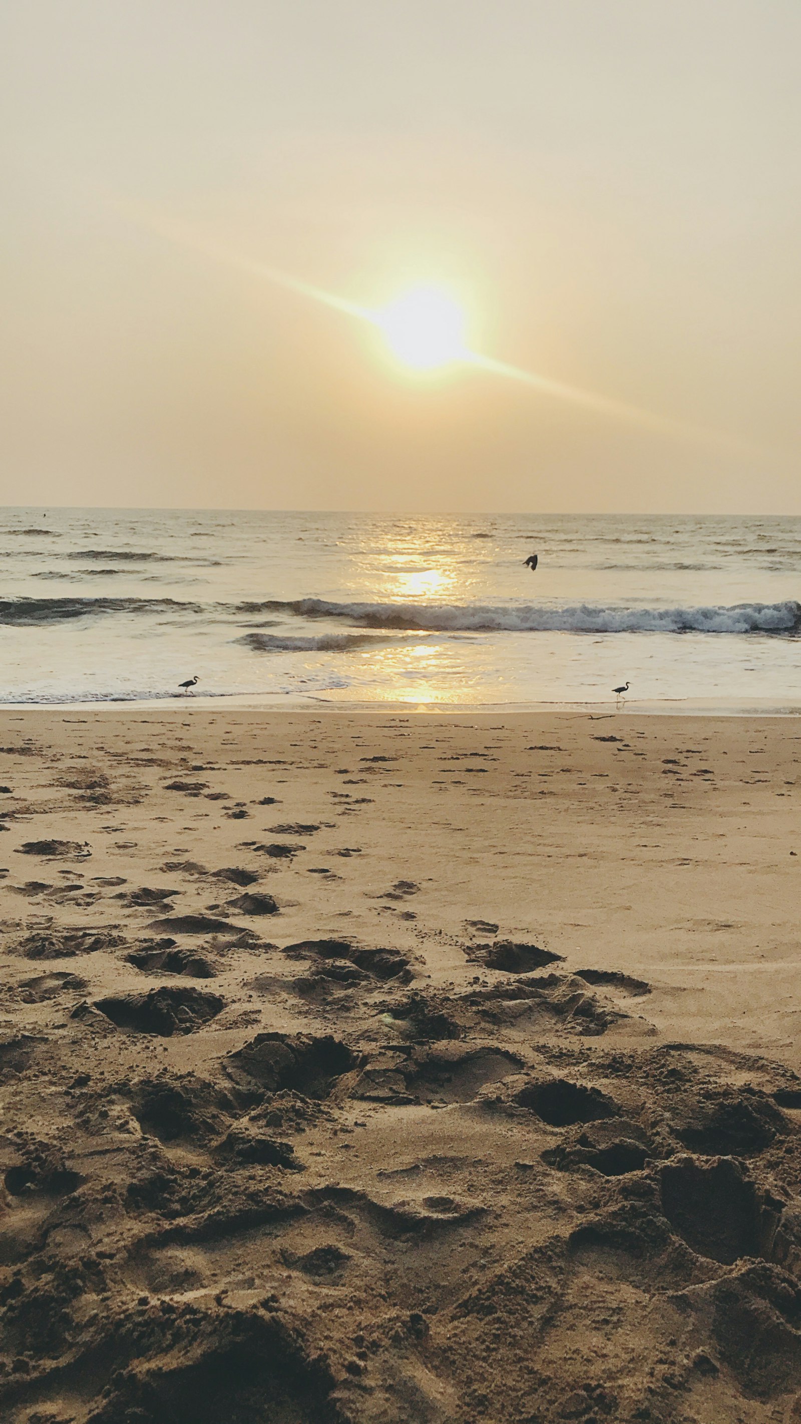 North & South Goa