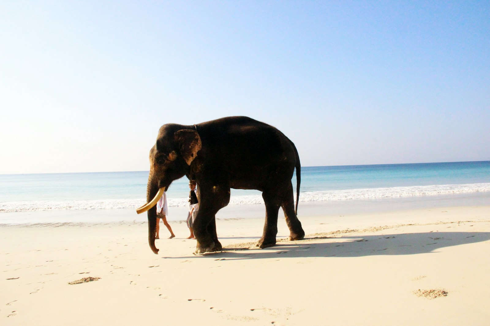Andaman Island Escape