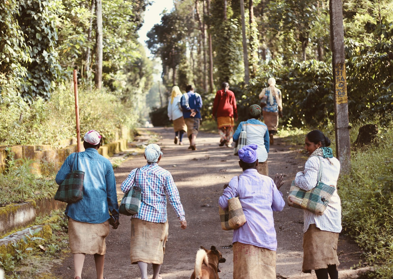 Coorg Coffee Country Getaway